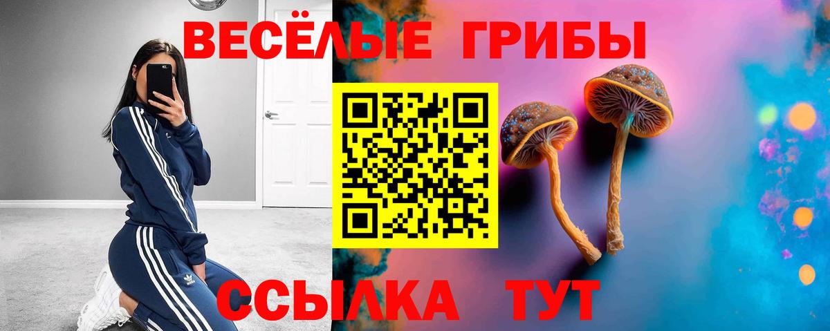 Галлюциногенные грибы Psilocybe Алушта